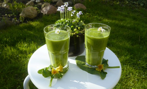 RezeptSmoothieADKuDHG0IR4VM